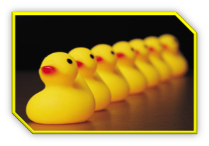 Duck in a row